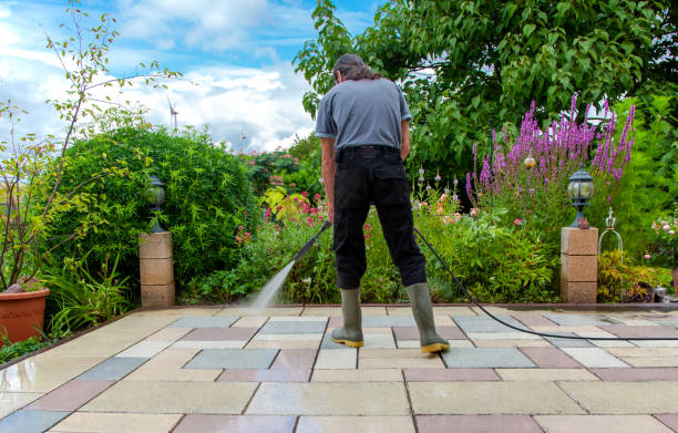 Best Driveway Pressure Washing  in Cudahy, CA